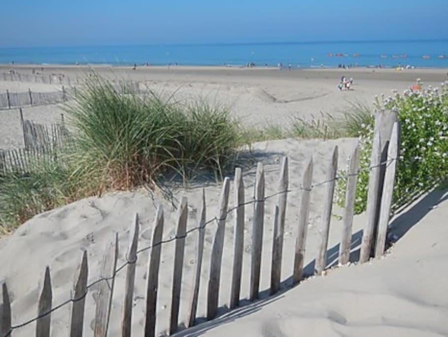 Logement A Deux Pas De La Plage Et Des Commerces Ле-Трепор Экстерьер фото